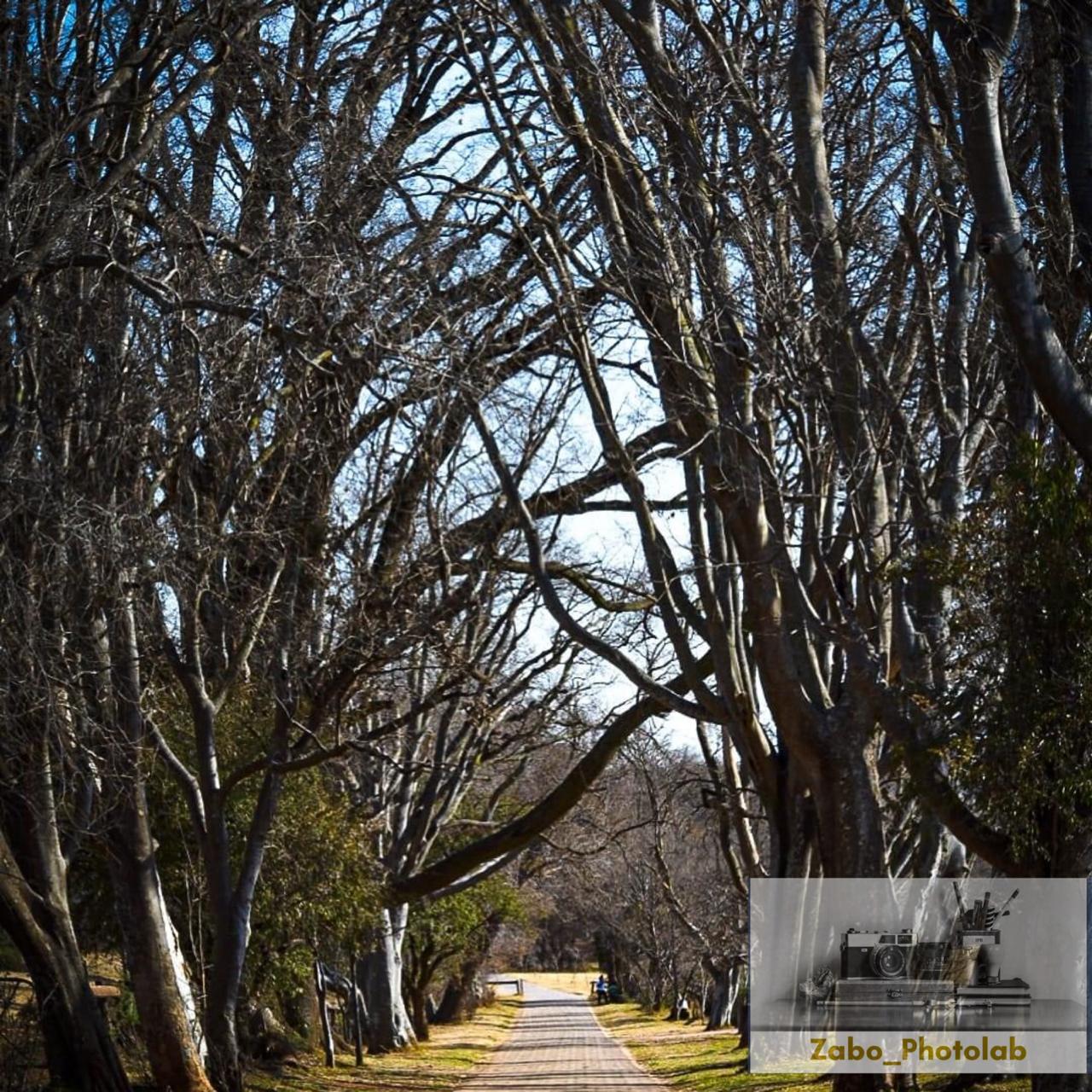 Clear vision and direction